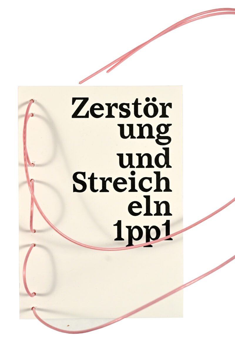 Buch #2 Zerst&ouml;rung und Streicheln